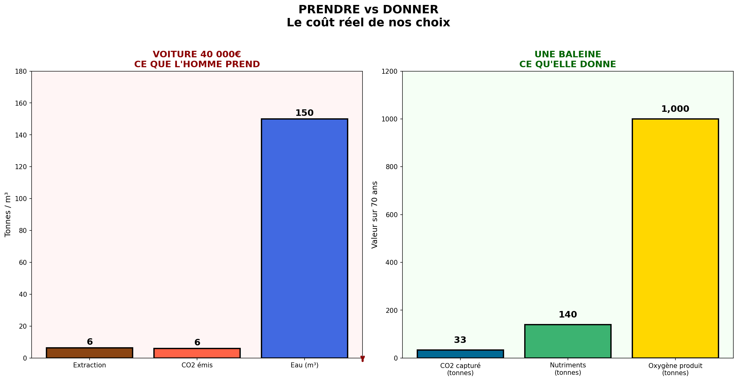 Graphique comparaison voiture vs baleine