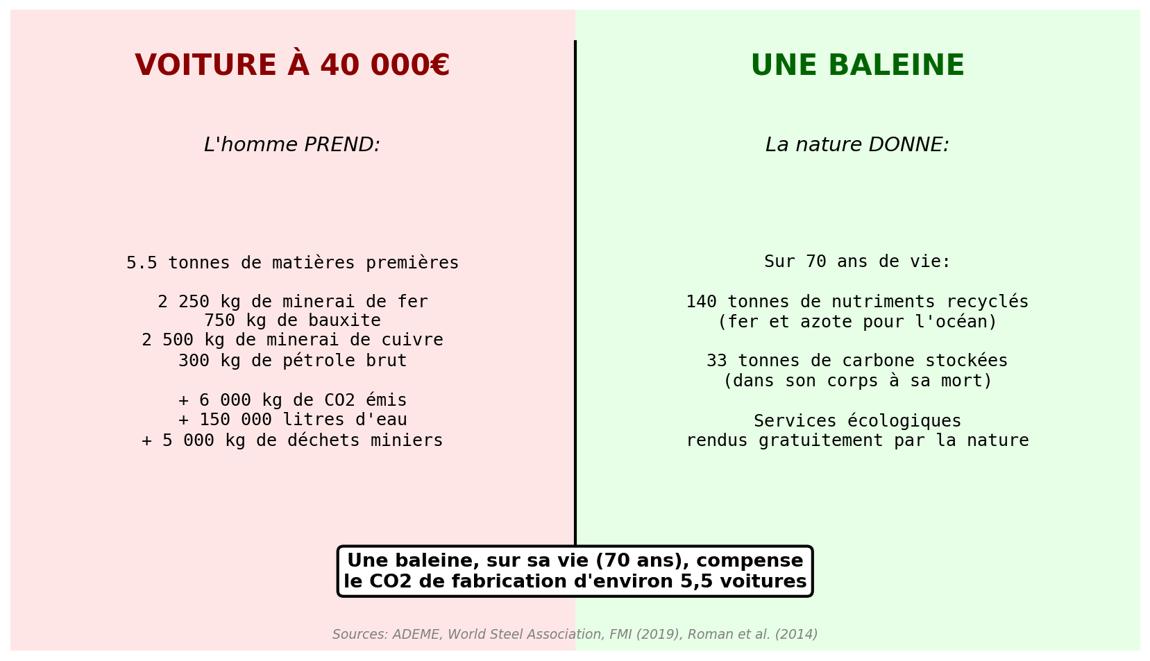Infographie voiture vs baleine