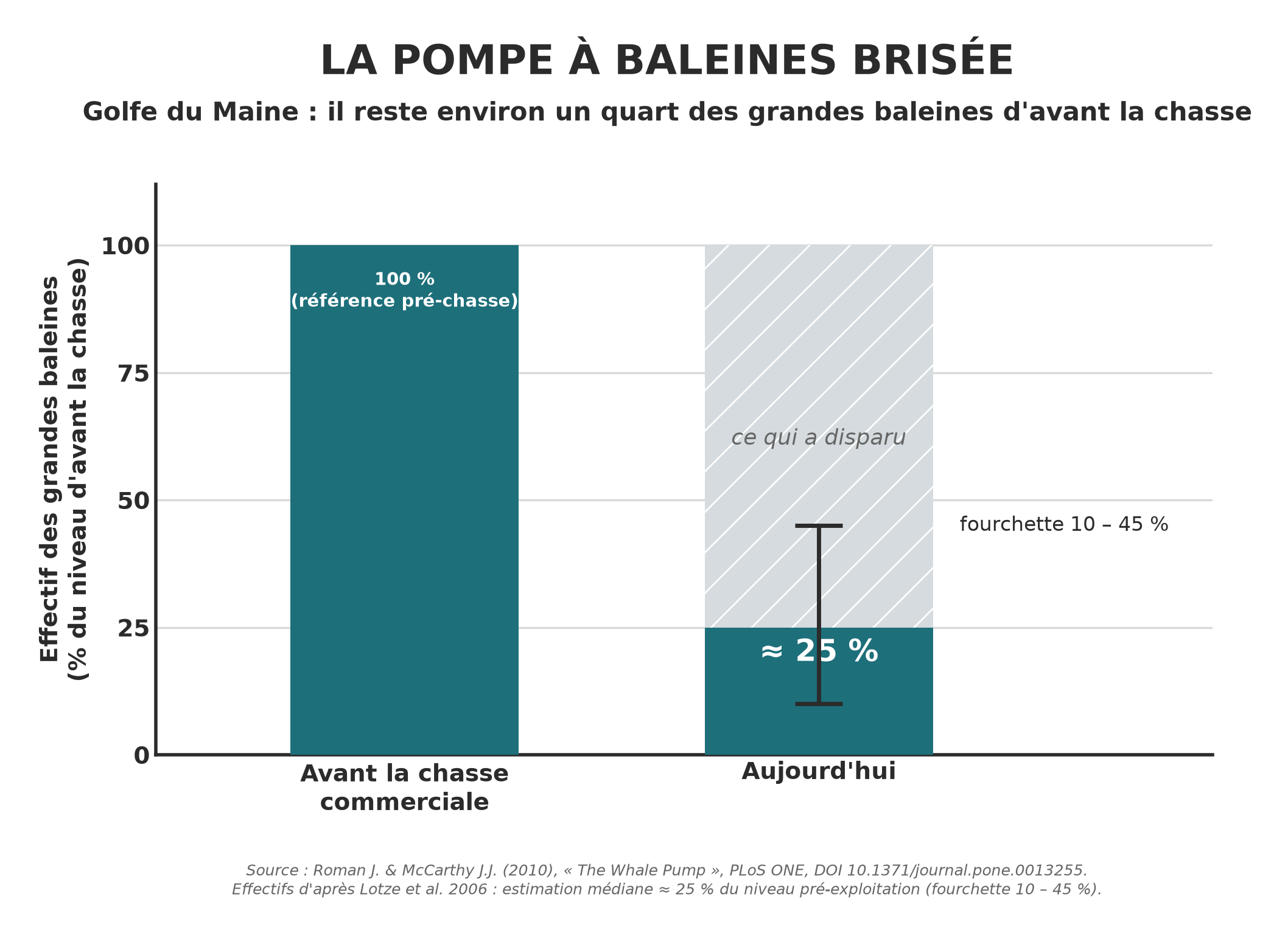 Effectif des grandes baleines dans le golfe du Maine : il reste environ 25 % du niveau d'avant la chasse commerciale. Source : Roman & McCarthy, 2010.